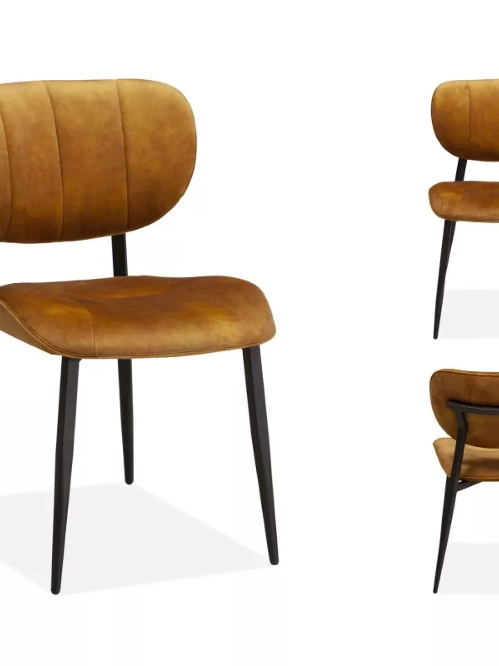 Horeca topper joop gold