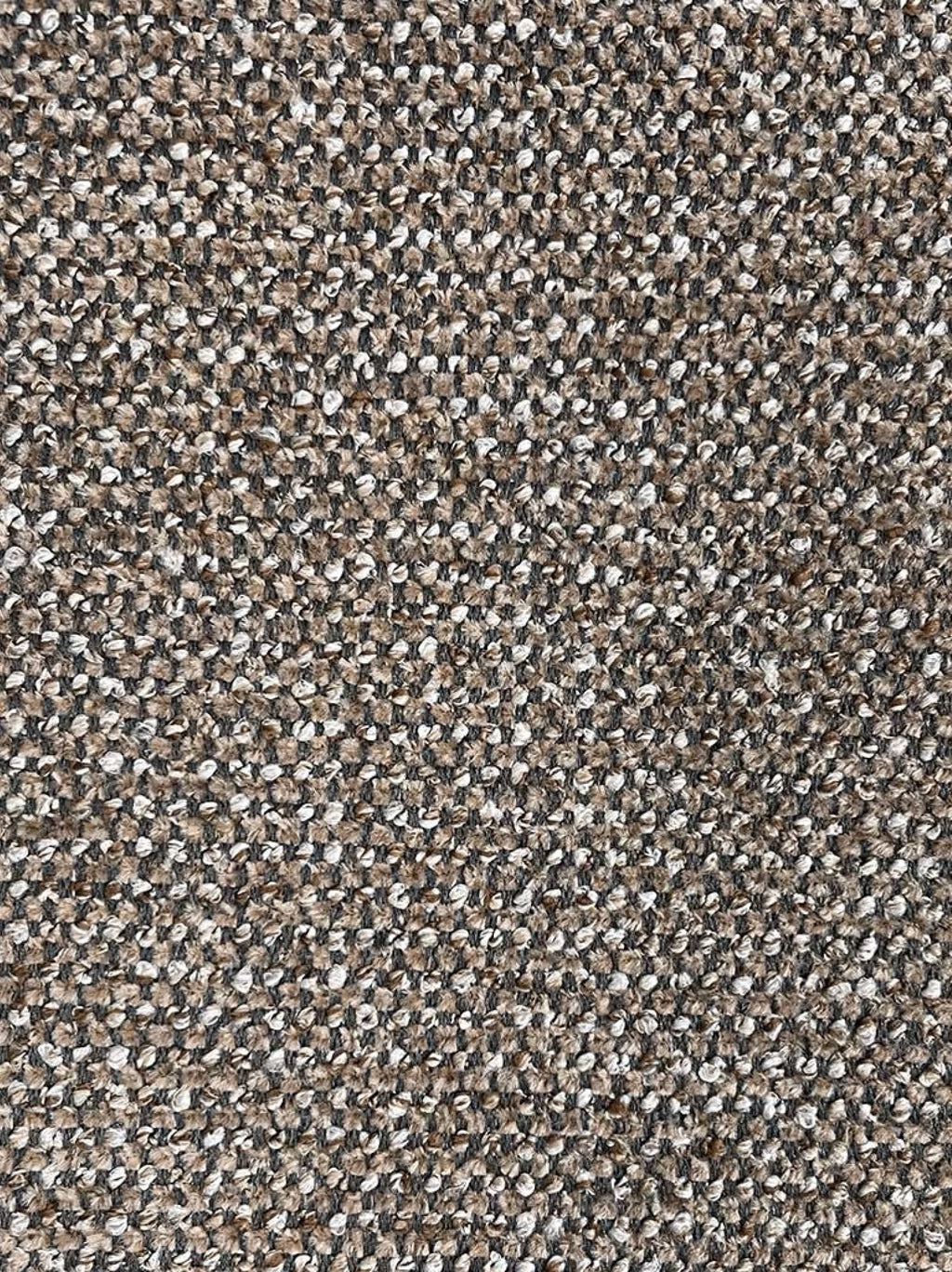 Ferrara bull 16 caramel sneak 16 caramel