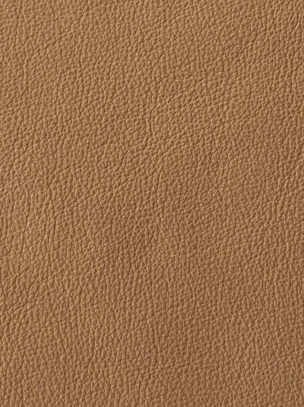 Eetkamerstoel leder como